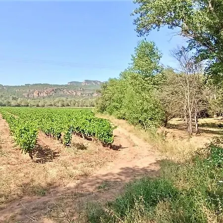 Superbe Cadre Campagne Vila Roquebrune-sur Argens